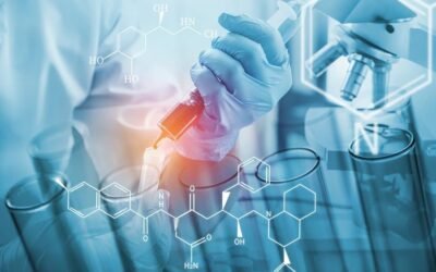 Wellness Tourism in Karnataka – Recovery Meets Relaxation with Ahmed Hospitality