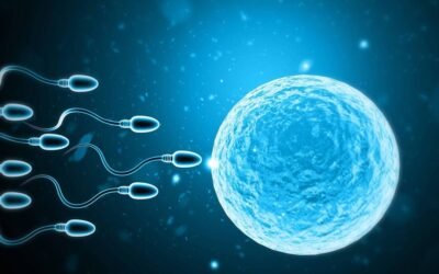 IVF in India for UAE & GCC Couples – Trusted Fertility Treatment with Ahmed Hospitality Tourism Bangalore